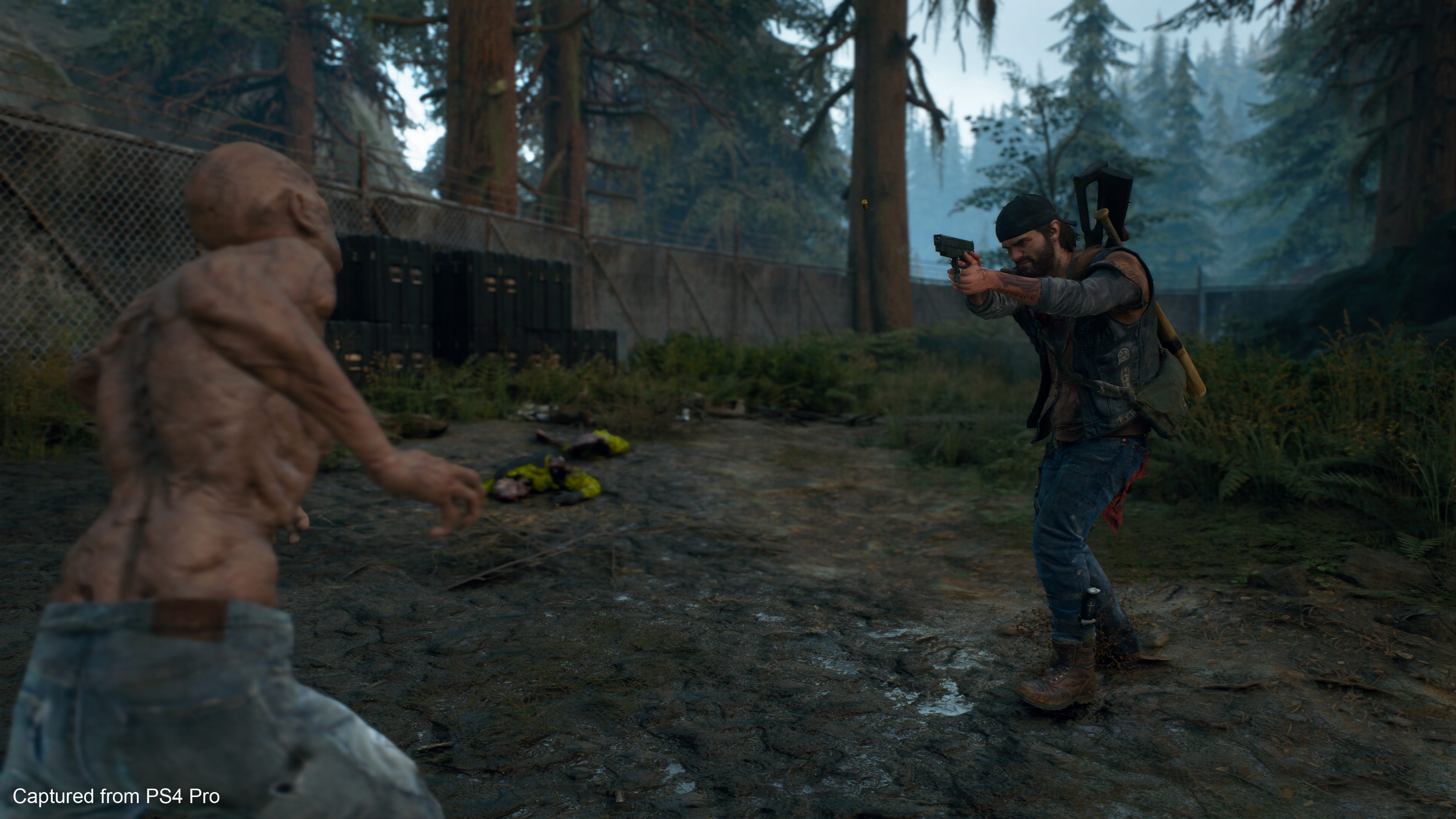 Days Gone - Imagen 31
